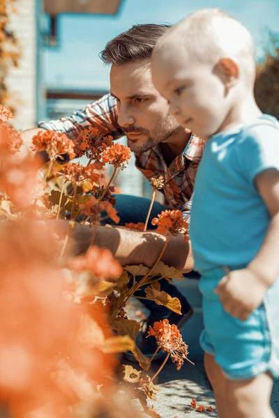 Far och son arbetar tillsammans i trädgården — Stockfoto
