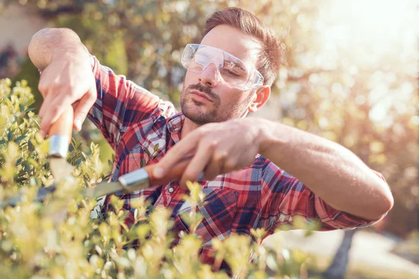 Taille-haies, travaille dans un jardin — Photo