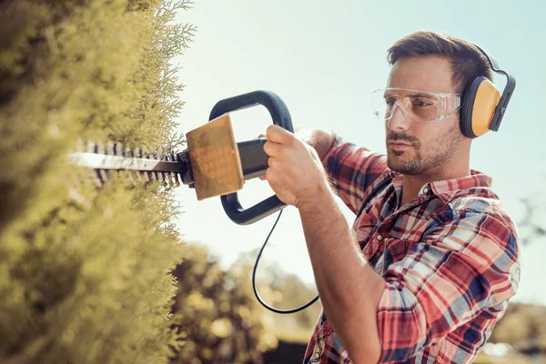 Recorte de setos, trabaja en un jardín — Foto de Stock