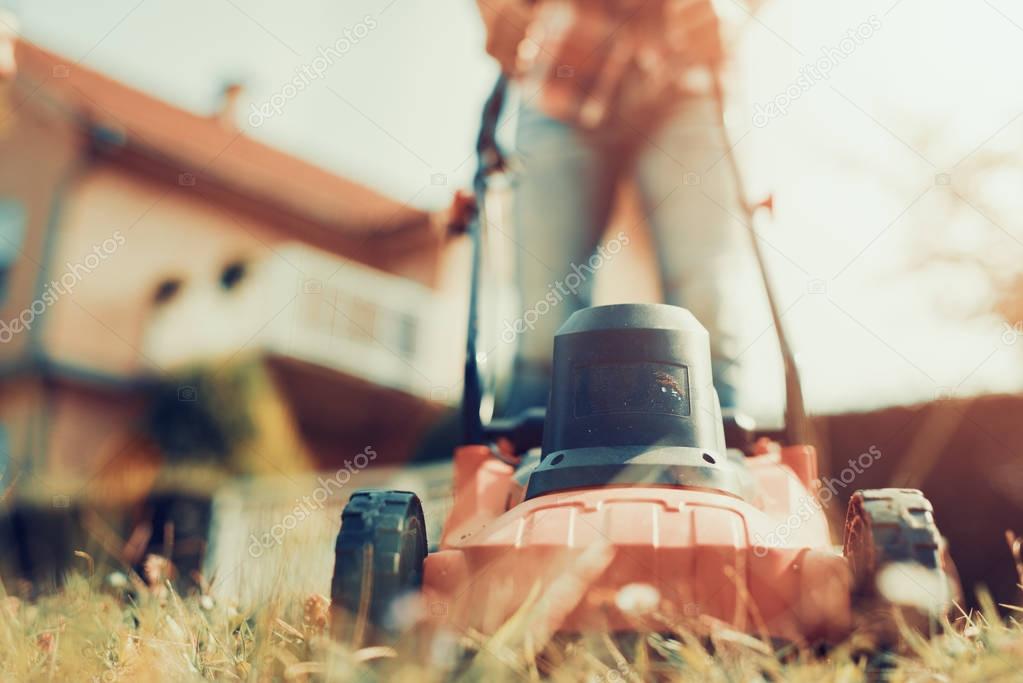 Lawn mower,close up