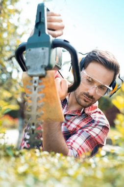 Kırpma, bir bahçe işlerinde çit