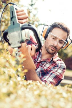 Bahçe, yakın çekim