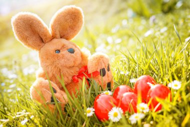 Paskalya yumurtaları ve oyuncak tavşan