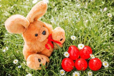 Paskalya yumurtaları ve oyuncak tavşan
