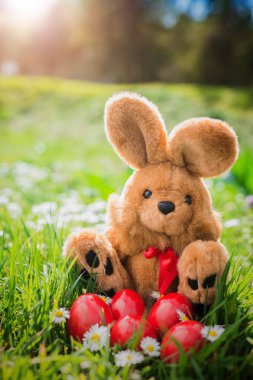 Paskalya yumurtaları ve oyuncak tavşan