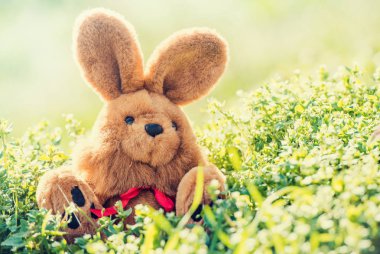 Sevimli oyuncak tavşan çimenlerin üzerinde