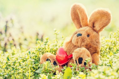 Paskalya yumurtaları ve oyuncak tavşan