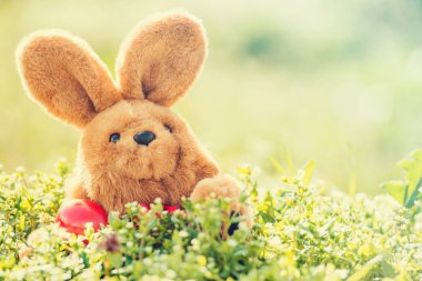 Paskalya yumurtaları ve oyuncak tavşan