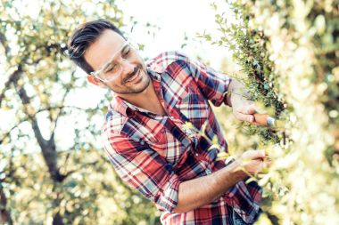 Bir çit kesme bahçıvan