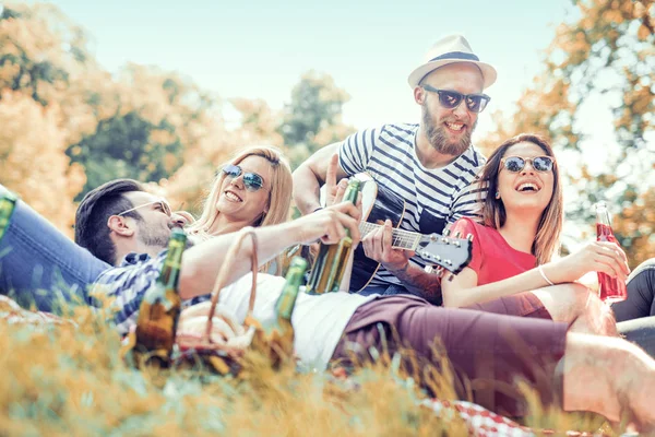 Jóvenes amigos de picnic en el parque — Foto de Stock