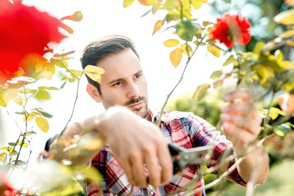 Young man gardening — Stock Photo, Image