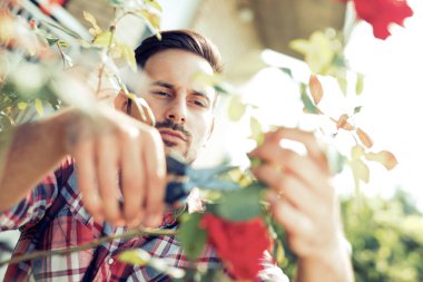 Bahçe, yakın çekim