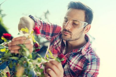 portre profesyonel bir bahçıvan 