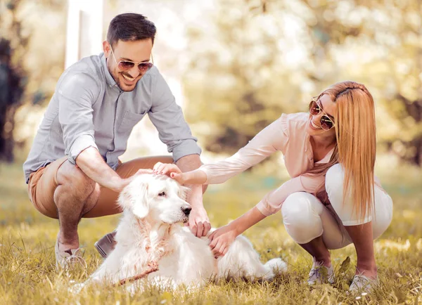 ラブラドル ・ レトリーバー犬と幸せなカップル — ストック写真
