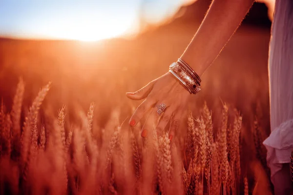 Mão tocando trigo — Fotografia de Stock