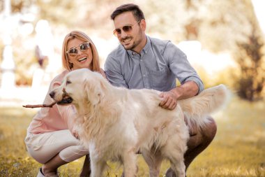 Doğa köpek ile oynayanlar.