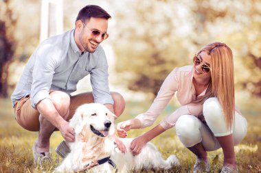 Parkta köpek ile rahatlatıcı