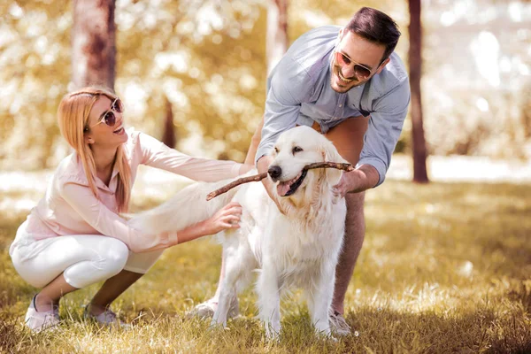 Parkta köpek ile oynarken Çift — Stok fotoğraf