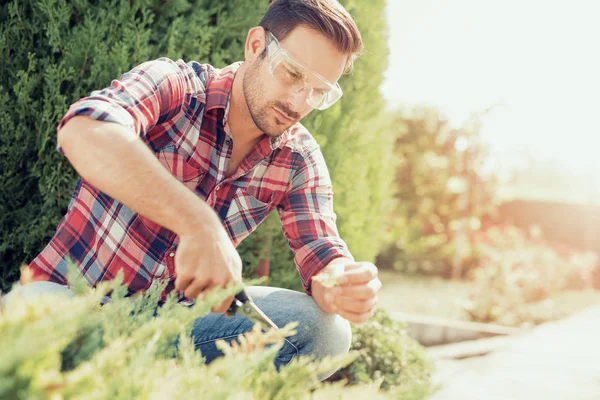 Taille-haies, travaille dans un jardin — Photo