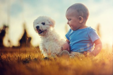 Çayır köpeği ile oturan çocuk