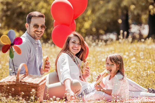 Family eating sandwiches on picnic — Stock Photo, Image