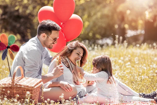 Los Padres Los Niños Divierten Almorzando Aire Libre Parque Verano — Foto de Stock