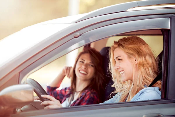 Junge Freunde am Steuer. — Stockfoto