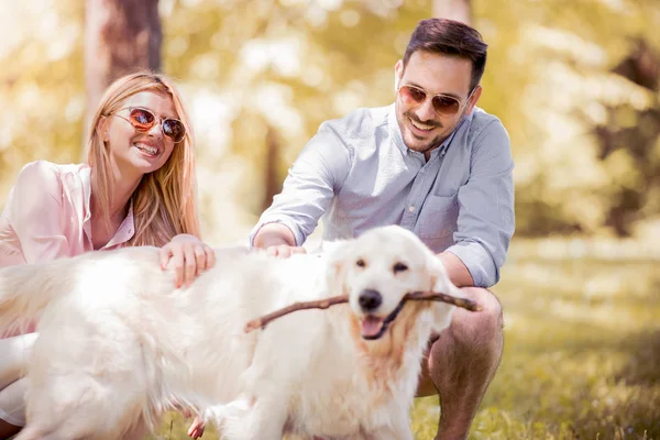 Genç Mutlu Çiftimiz Parkta Köpek Ile Oynarken — Stok fotoğraf