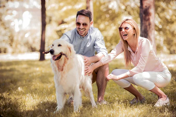公園で犬と遊ぶ若い幸せなカップル — ストック写真