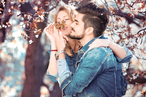 Casal Jovem Sob Árvore Cereja Florescente — Fotografia de Stock