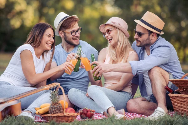 Boldog Fiatal Barátai Amelyek Piknik Parkban Minden Boldog Szórakozás Mosolyogva — Stock Fotó
