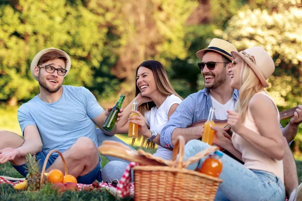 Felices Jóvenes Amigos Haciendo Picnic País Son Felices Divierten Sonríen — Foto de Stock