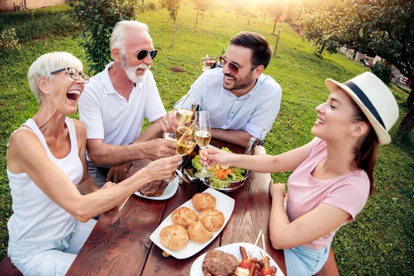 Feliz Brindis Familiar Mientras Almuerzas Naturaleza — Foto de Stock