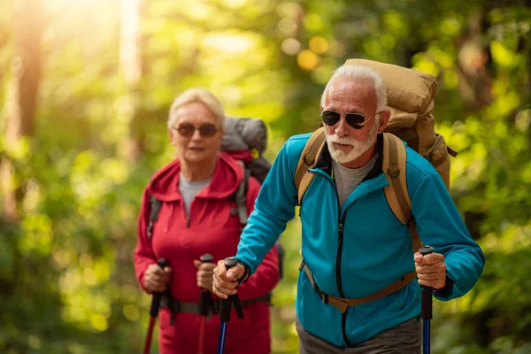 Feliz Pareja Ancianos Caminando Juntos Bosque — Foto de Stock