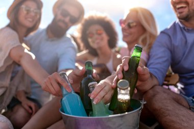 Bir grup çekici genç sahilde eğleniyor, içiyor ve kadeh kaldırıyor..