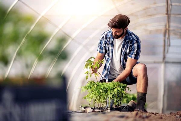 Portrait Young Man Work Greenhouse — Stock Photo, Image