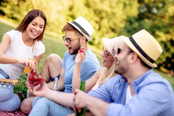 Amigos Felices Parque Haciendo Picnic Día Soleado — Foto de Stock