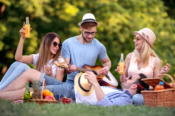 Summer, vacation, music and recreation time concept. Cheerful four friends have picnic in nature.