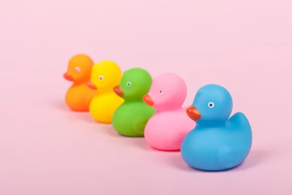 Patos de borracha coloridos no fundo rosa — Fotografia de Stock