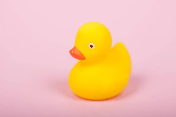Ładny żółty gumową kaczkę na różowym tle — Zdjęcie stockowe