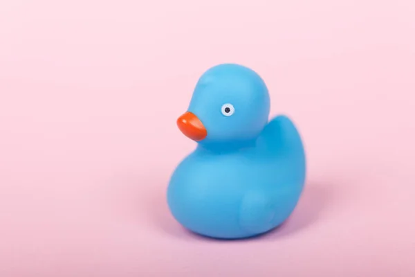 Cute blue rubber duck on pink background — Stock Photo, Image