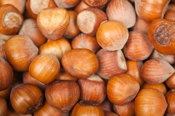 Stack of hazelnuts background — Stock Photo, Image