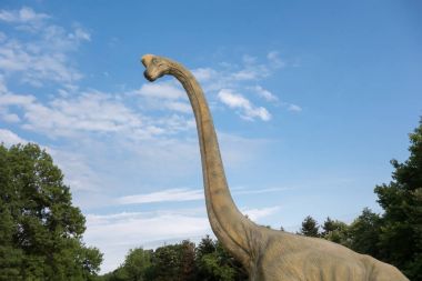 Brachiosaurus gerçekçi model. Dinozor kafası kapatın