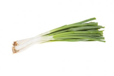 spring green onion, isolated on the white clipart