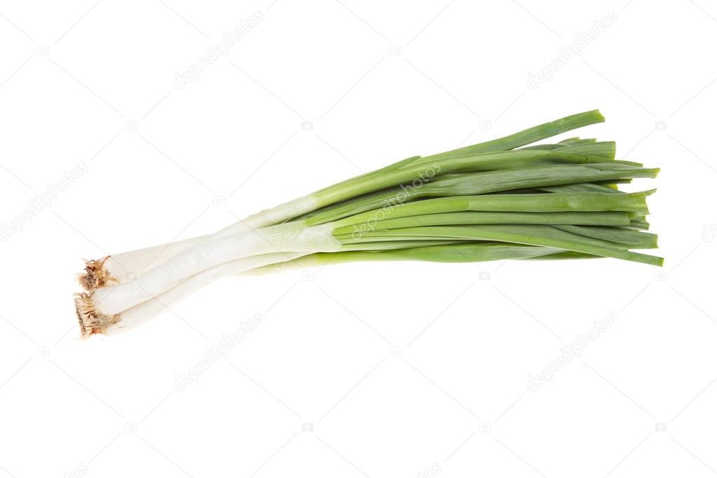 spring green onion, isolated on the white