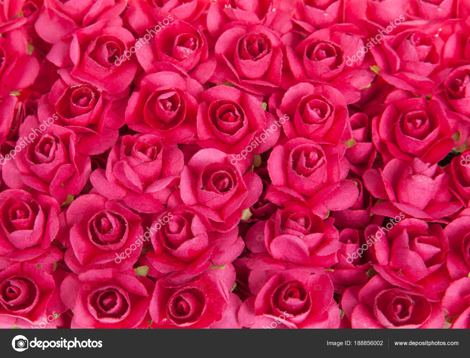 Pictures A Red Rose Flower Background Of Red Rose Flowers Many Red Roses Close Up Stock Photo C Dechevm 188856002