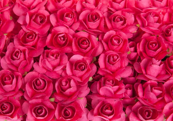 Sfondo di fiori di rosa rossa. Molte rose rosse da vicino — Foto Stock