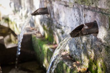 fountain water source spring in the forest clipart