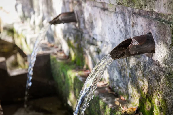 Fonte de água nascente na floresta — Fotografia de Stock