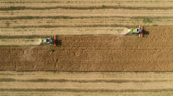 空中トップダウンビューの2つの組み合わせの収穫畑のショット — ストック写真
